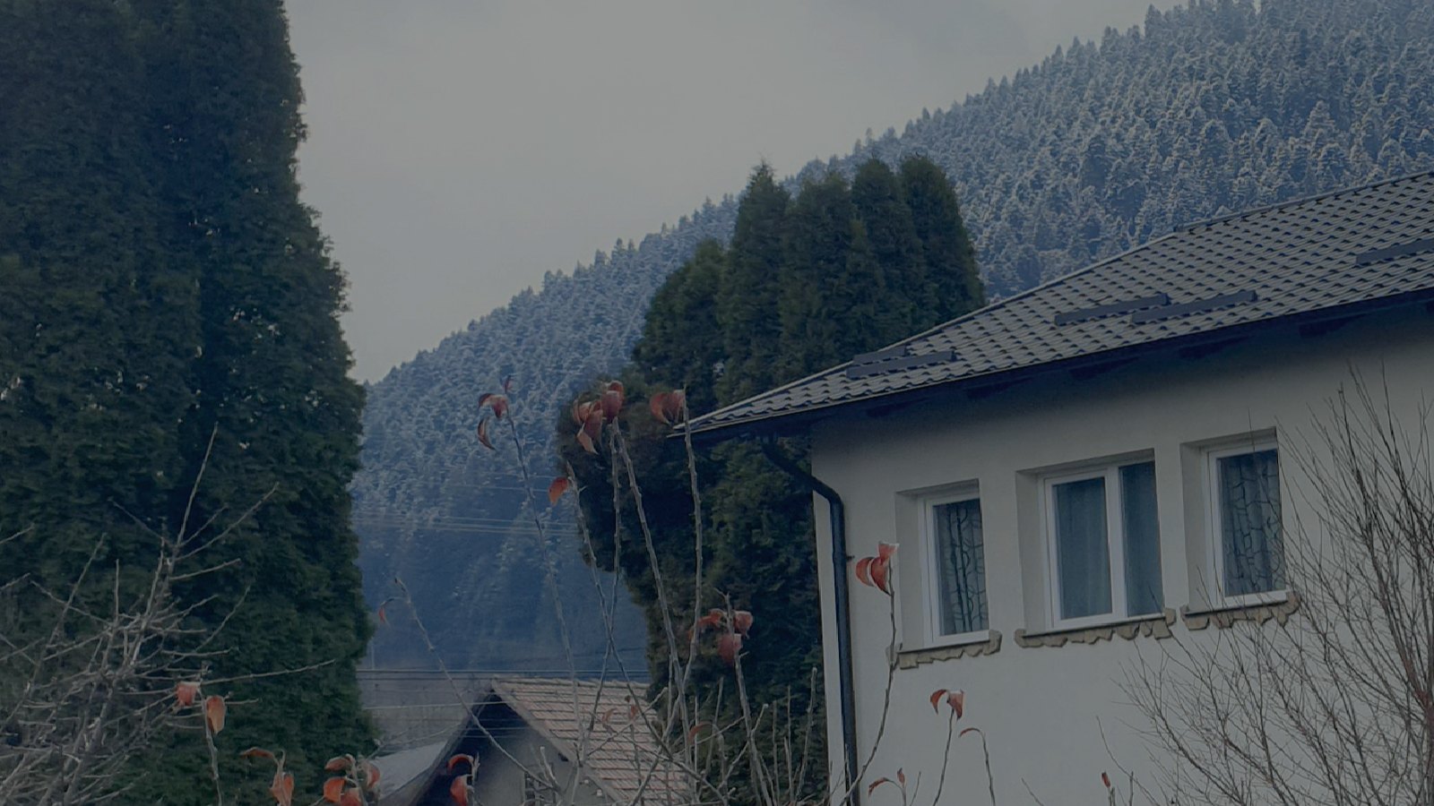 Casa La Cuib văzută din grădină, cu pădurea ninsă în spate