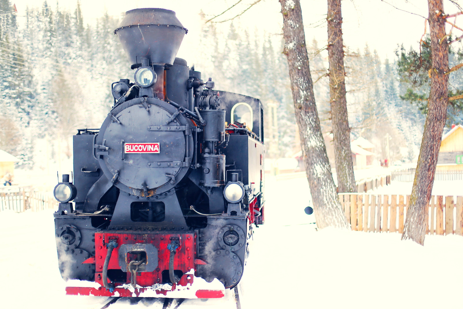 Locomotiva cu abur a Mocăniței Huțulca pe valea Moldoviței